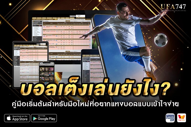 บอลเต็ง เล่นยังไง?