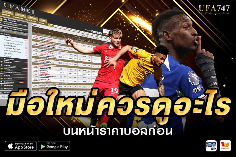 มือใหม่ควรดูอะไรบนหน้าราคาบอลก่อน